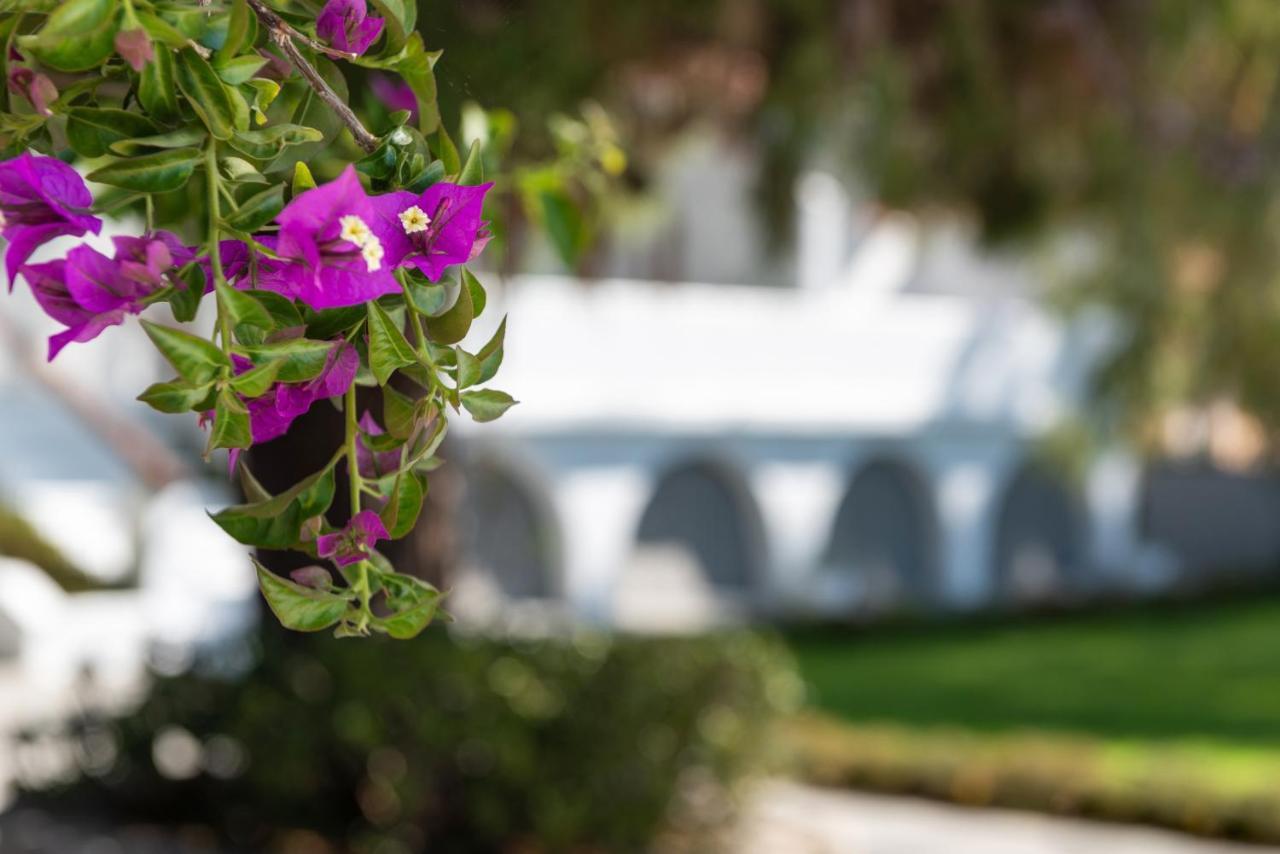 קאטליוס Casa Montzo Boutique Hotel מראה חיצוני תמונה
